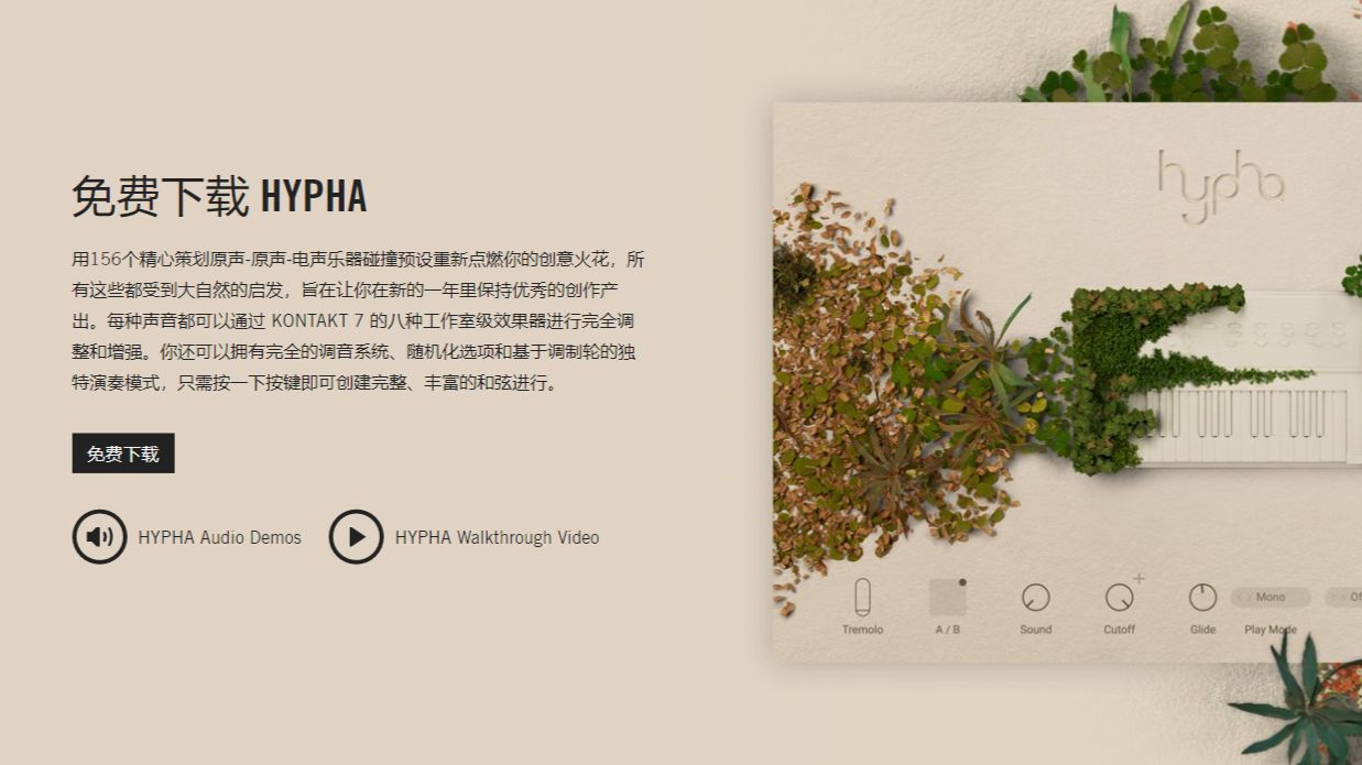 来啦！Native Instruments发布节日礼物“Hypha” 哔哩哔哩