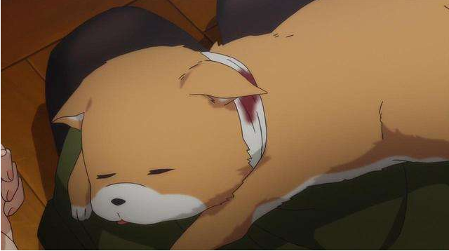 第5名:太郎丸——《学园孤岛》