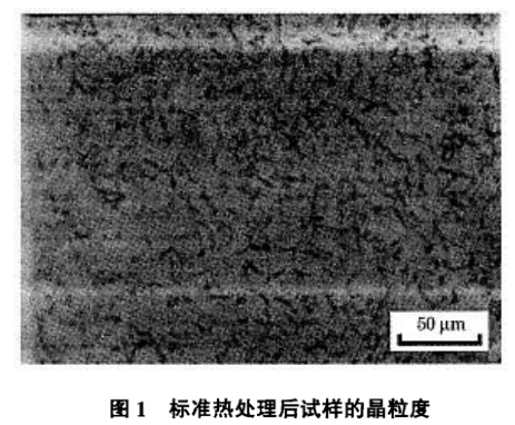 上海霆钢金属集团有限公司