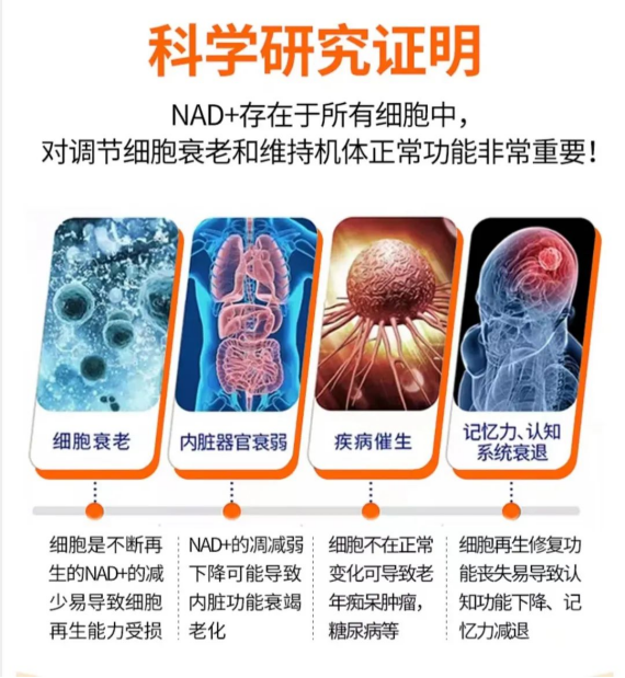 NMN—生命之钥,逆转时光重返年轻态! - 哔哩哔哩
