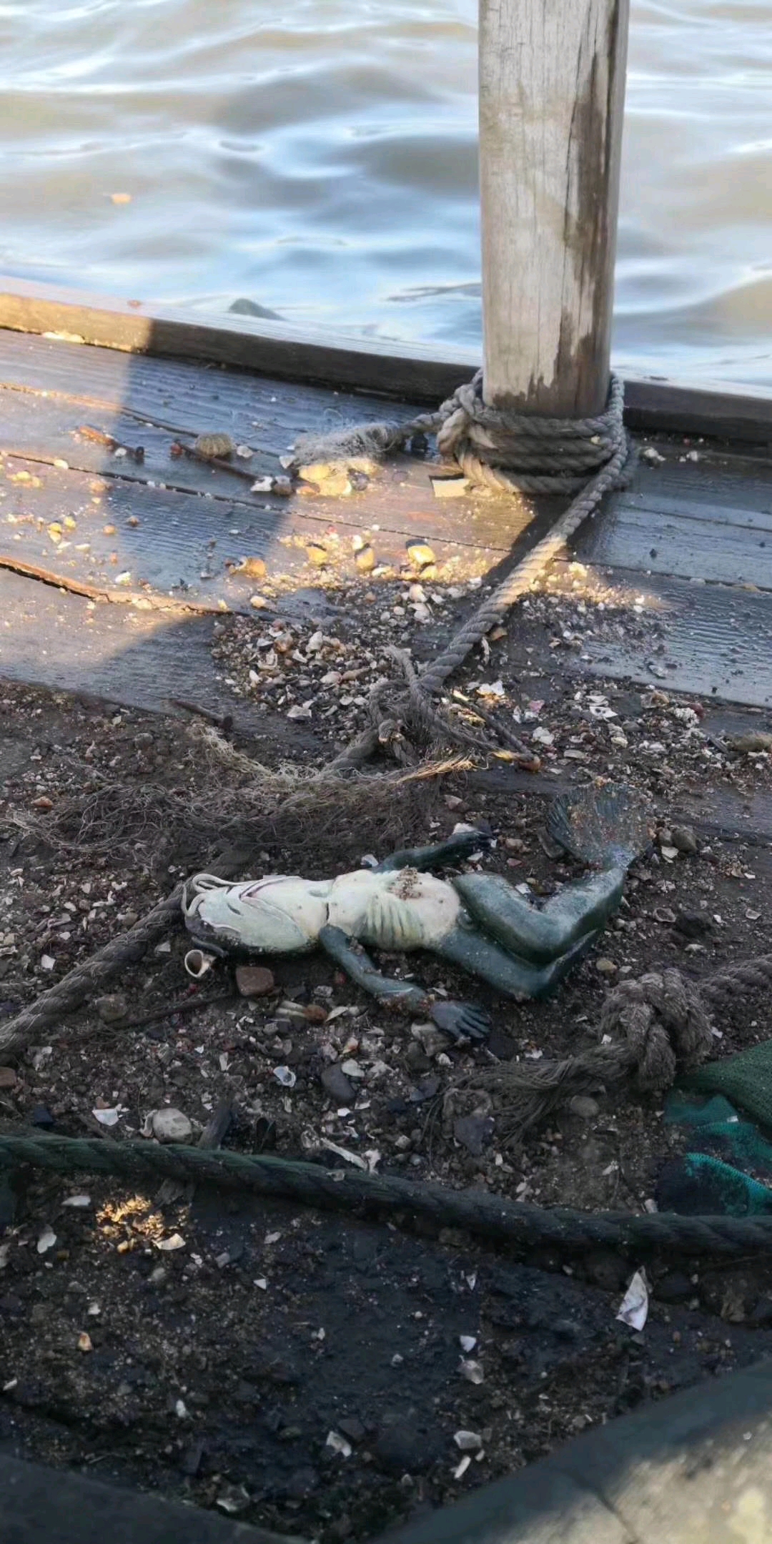 woc,兄弟们能认出这个的扣个眼珠子