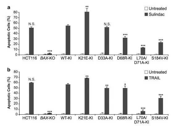 Hct116细胞与crispr Cas9结合 结直肠癌治疗研究的绝佳拍档 源井生物 哔哩哔哩