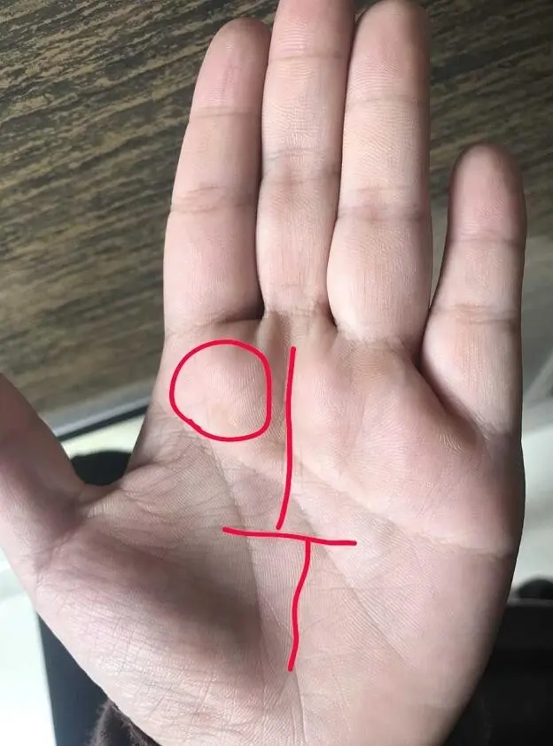 女性手相出现这5特征 早晚必发 十人九福 哔哩哔哩