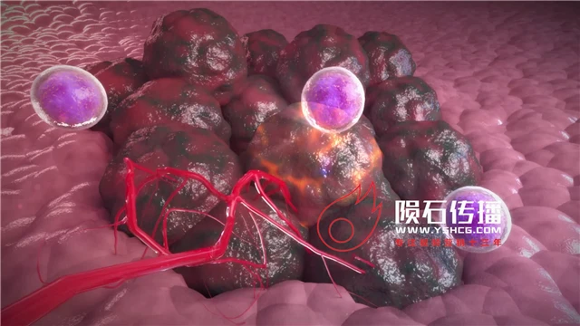 抽象的医学医疗需要3D动画