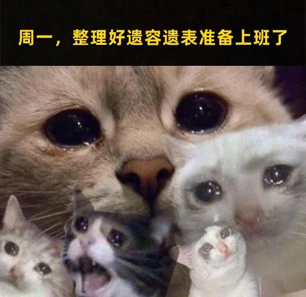 今日趣图（只有猫猫meme） - 哔哩哔哩