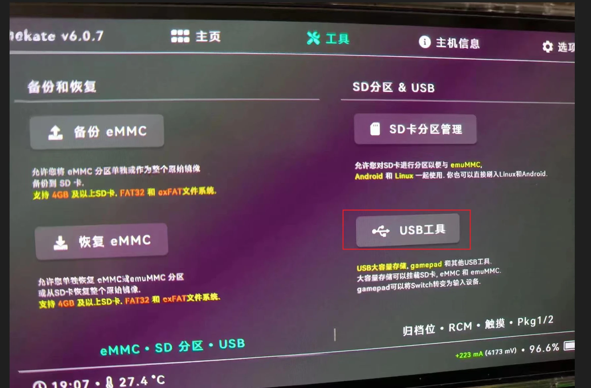 Switch 17 0 unknown pkg1 version 