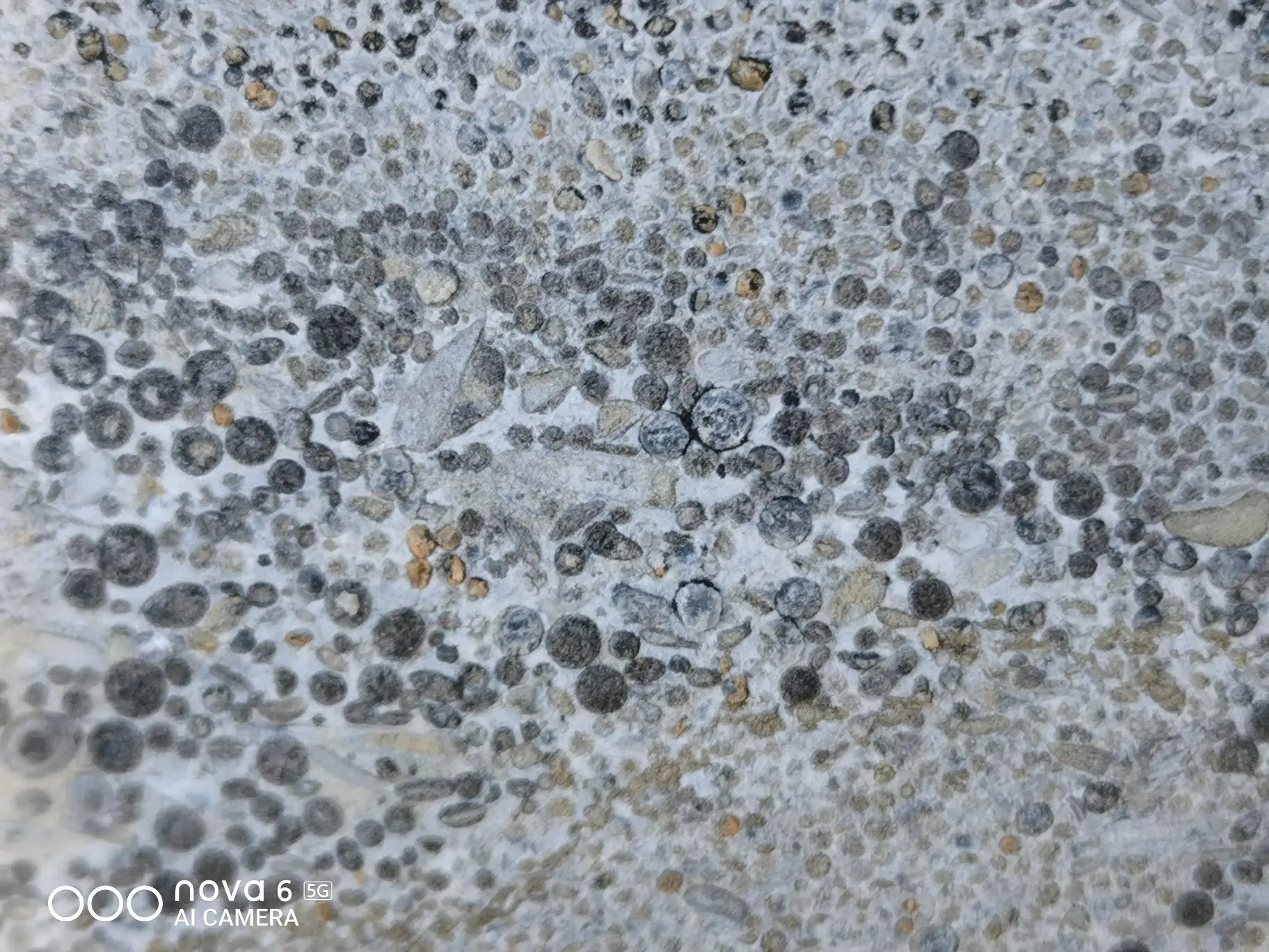 鲕粒灰岩成因"洋流说"