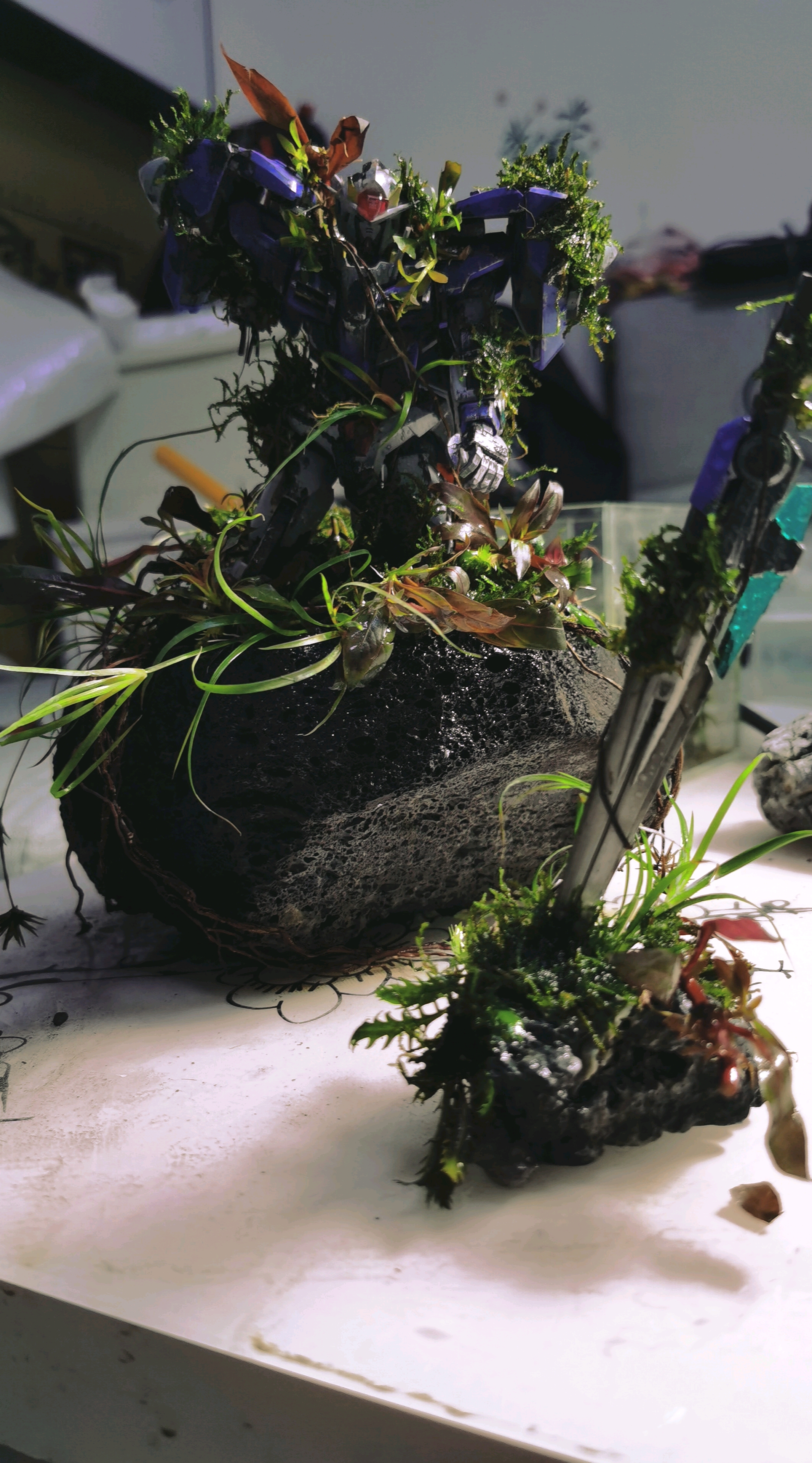 高达鱼缸 水景版花海