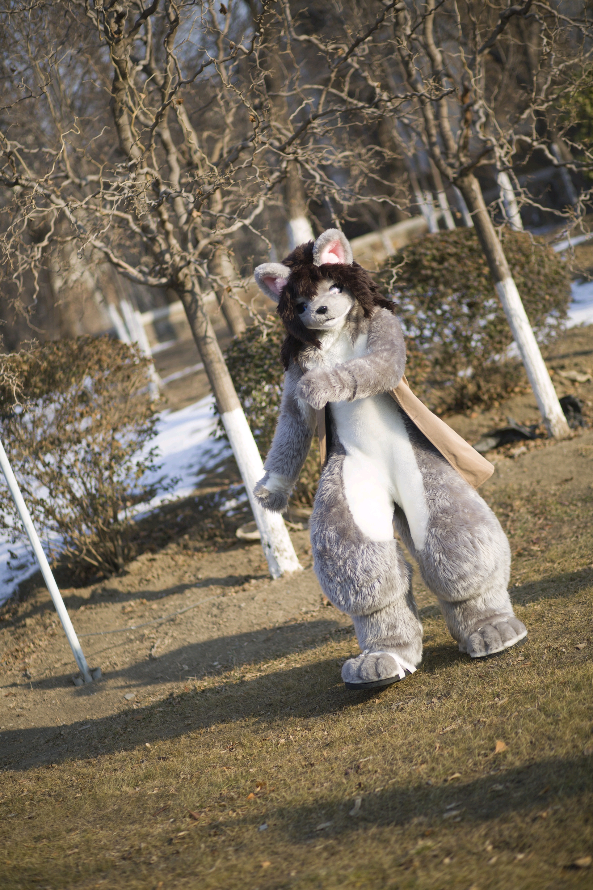 杂图系列猛男系列兽人furry第十一弹24