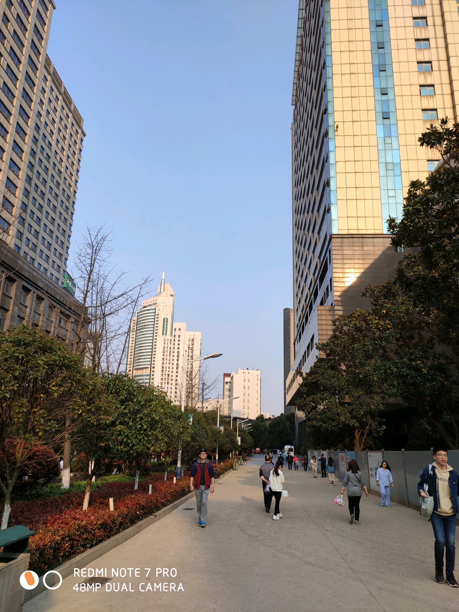 红米note7pro和荣耀V20拍照对比,