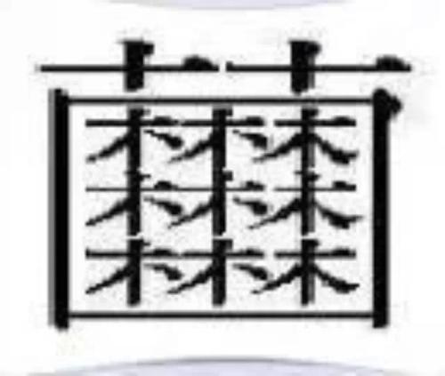 我可能是一个假的中国人--九个最复杂的汉字