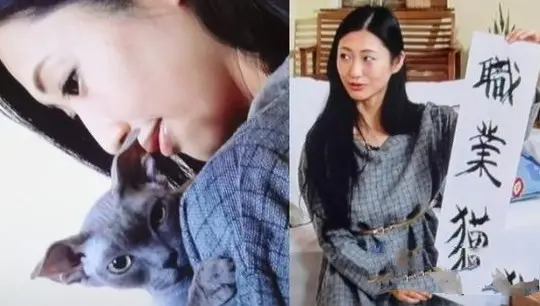 假如你是一只猫 会选哪位日本女星做主人 哔哩哔哩