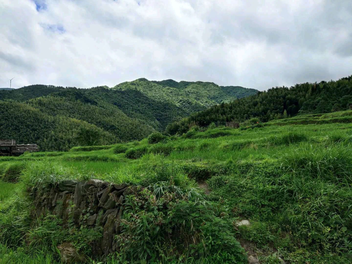 绥宁丘陵山地农村的乡村振兴之路