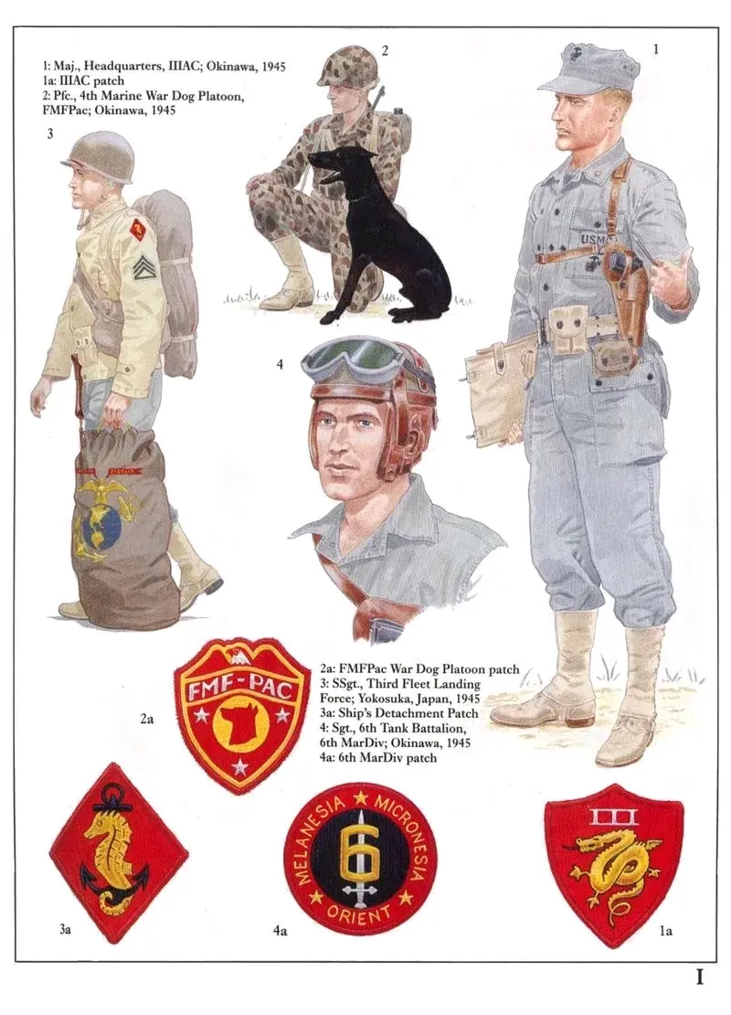 I1:��У��˾�������½ս�ӵ�III���ţ�������1945�� �����Զ��صĻ���ʽ�ڴ�Ϊ��ɫ�ĸ�����๦���Ʒ����ʹ�ս�����ӣ�����Ƚ����ں󷽸�������ͼ��������ı�����������������С���ľ��λ��£�������С�ľ��λ���������ھ�����ͳ����ļ��´�����ġ�����ʹ����M7ʽ�����ǹ�ף����������½�����նӰ����ͬ������װ����M1911A1��ǹ�����������Ϲ̶���һֻM1942ʽ���Ȱ���һ����ǹ��ҩ����һ��װ͸�����̵İ������⣬�������õ������ڿ�ʽ���ļ�����ͼ1a�Ǻ���½ս�ӵ�III���ŵĻ��¡� I2:һ�ȱ�����4����½ս�Ӿ�Ȯ�ţ�̫ƽ�󽢶ӣ�������1945�� ��Ȯ��Ϊ׷�ٹ�����1943��Ĳ���ά�����״εõ����á�һ������36ֻ����Ȯ����Щ�����ձ��˳�Ϊ����������������������������ϵ�������Ч�������˲��ӵĹ۲ⷶΧ����ȮҲ��������Ϊͨ��Աʹ�ã��ż������һֻ�̶���������Ȧ�ϵļ��Ȱ������ڵ¹�����Ȯ�����ֹ���Ч�ʱ���Ϊ��ߡ��ű�����Dobermans����ʹ�õ���࣬ȱ����̫�����ʡ�ͼ��ѵȮԱ�ĸ�����๦���Բ��Ʒ��������๦�ܻ���ɫ�Ʒ�������ƣ���ʹ�ø��㷺�����⣬ѵȮԱ��װ����½�����ˮ���׺���װ������������ս������һ�׶α�����½ս�����㷺װ���ġ�ѵȮԱ��������һ֧M1����ǹ��һ��PAL��K-Bar��������ÿ��ѵȮԱ����Я������Ʒ������˨���õ�6��20Ӣ�߳���Ƥ����һֻ������֡�һ��ë����һֻ��ëˢ�������õĵ���ֻˮ���Լ�������ͷ������C�Ŷ���������ͼ2a��̫ƽ�󽢶Ӿ�Ȯ�ŵĻ��¡� I3:��ʿ����3���ӵ�½���ţ��ձ�����أ�1945�� ��3���ӵ�½��������������ձ������Ĳ���֮һ��˾��͵�2����3Ӫ����˺���½ս�Ӵ�ֻ�����ֶӣ�����1Ӫ���ɺ�����½��Ա��ɡ�1941��Ķ���;�Ʒ�����ʹ�ã�ͼ������ʿ�پ�����ˣ�ֻ�����������˴���ֻ�����ֶӱ��£�ͼ3aϵ�Ŵ�ͼ�����ֵ���ɫ������ɫV���µ�½����ʽ�����ɫҰս�пˡ���ʿЯ����M1941ʽ�����������������Ұս���䷽ʽ�����������̸Ǿ�������������ɫ�����һ��Ƭ�Σ������⻹Ҫ����һֻM3����������ߡ������׳ơ����Ͽڴ�����¶Ӫ��Ʒ����װ�δ�ͳ��ӡˢͼ��������Ӻ�ê����I4:��ʿ����6����½ս��ʦ��6̹��Ӫ��������1945�꡾�������� ̹����ʹ��Ƥ�Ƶ�M6ʽ��ײͷ����ͷ���ϴ���һ���͵����ߵ����������������˷磬�๦�ܻ�Ŀ������Ϊ͸������ɫ�ͺ�ɫ����͸���������ϱߡ���ʿ�Ļ�еʦ����������һֻM3ʽ��ǹ�ס�ͼ4aΪ��6����½ս��ʦ��ʦ�ա�