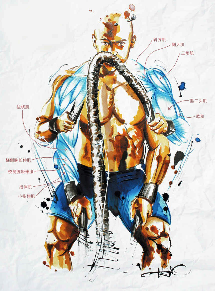 高强度训练的艺术 战绳