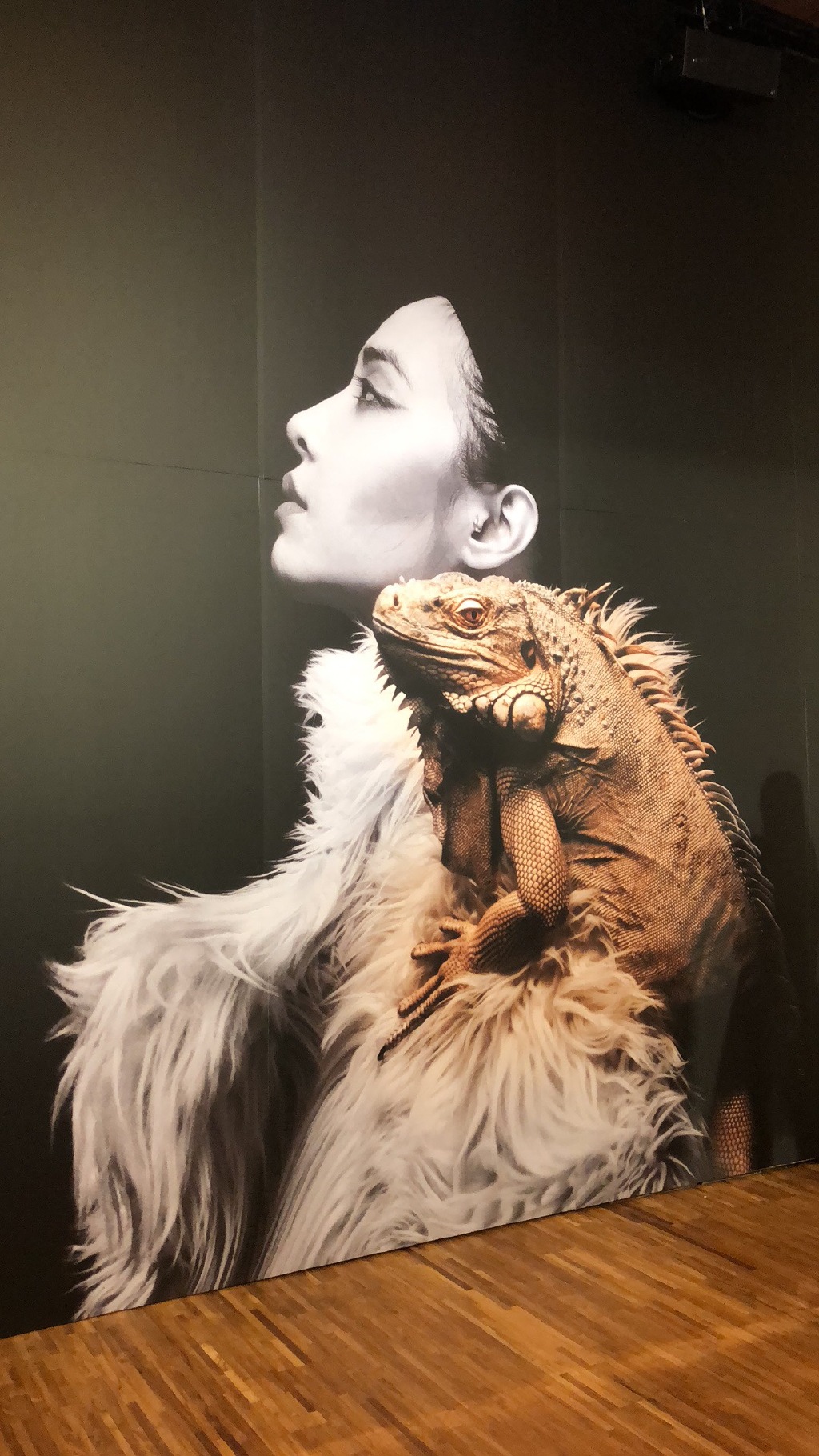 蔡依林新专辑6首歌抢先曝光 期待值UP UP