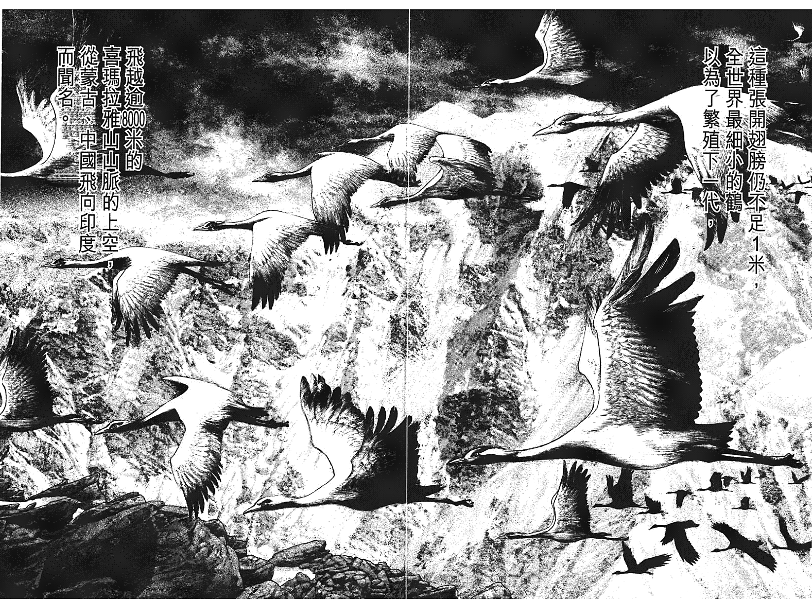 谈《孤高之人》 - 哔哩哔哩