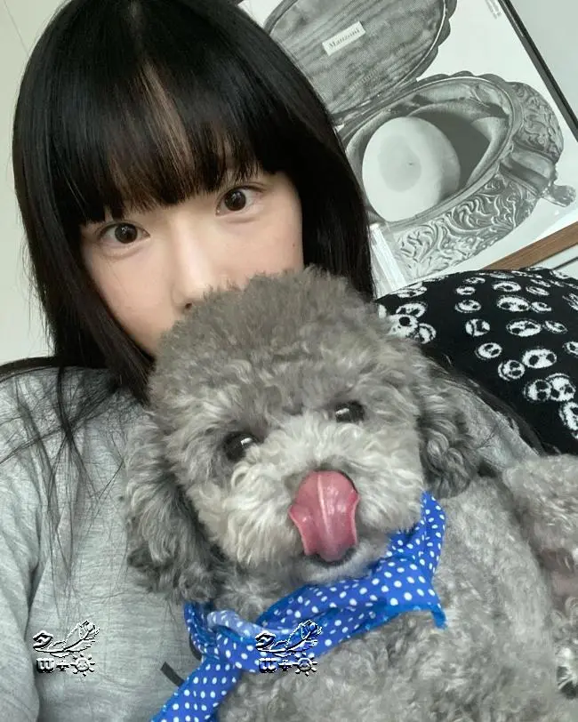 Zero三岁了 泰妍为爱犬庆生 希望你和我在一起的每一天都幸福 希望你们一直幸福 哔哩哔哩