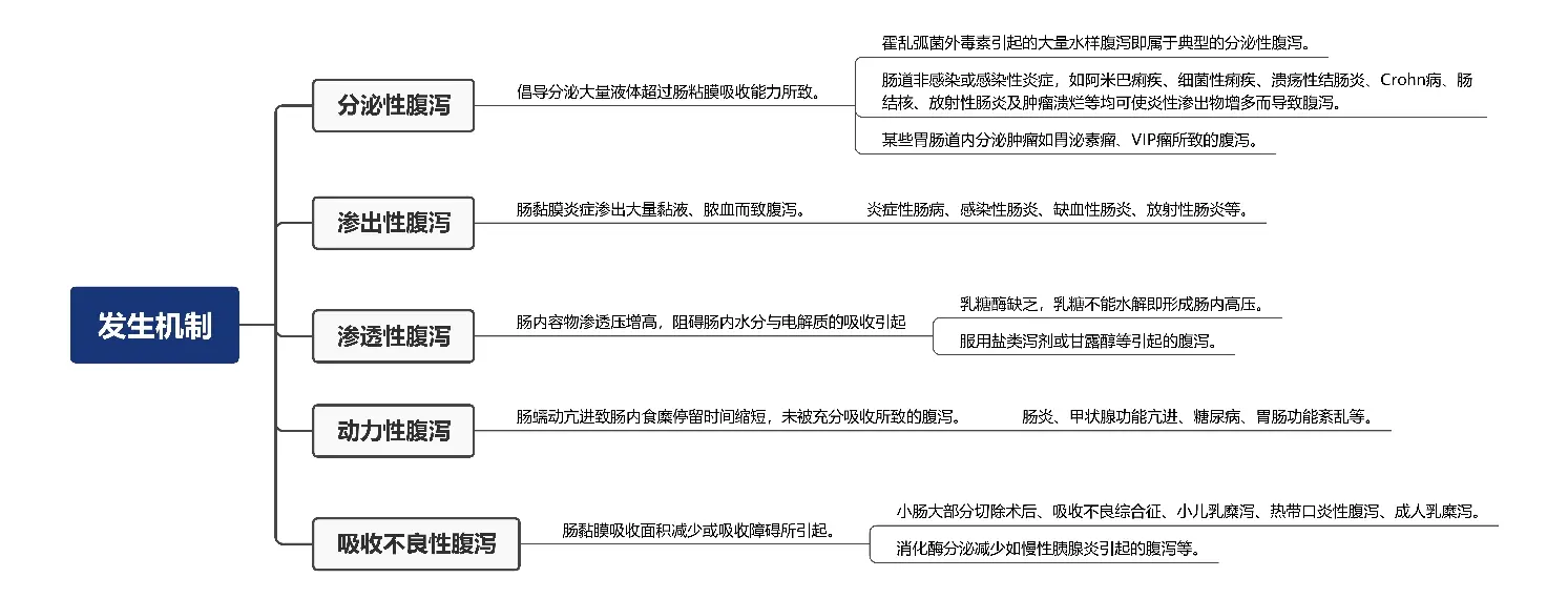 《诊断学症状篇:腹泻》思维导图