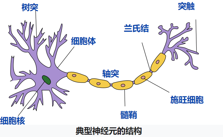 可并行化的串行算法_并行计算机 任务安全自调度算法 sss_人工智能并行算法