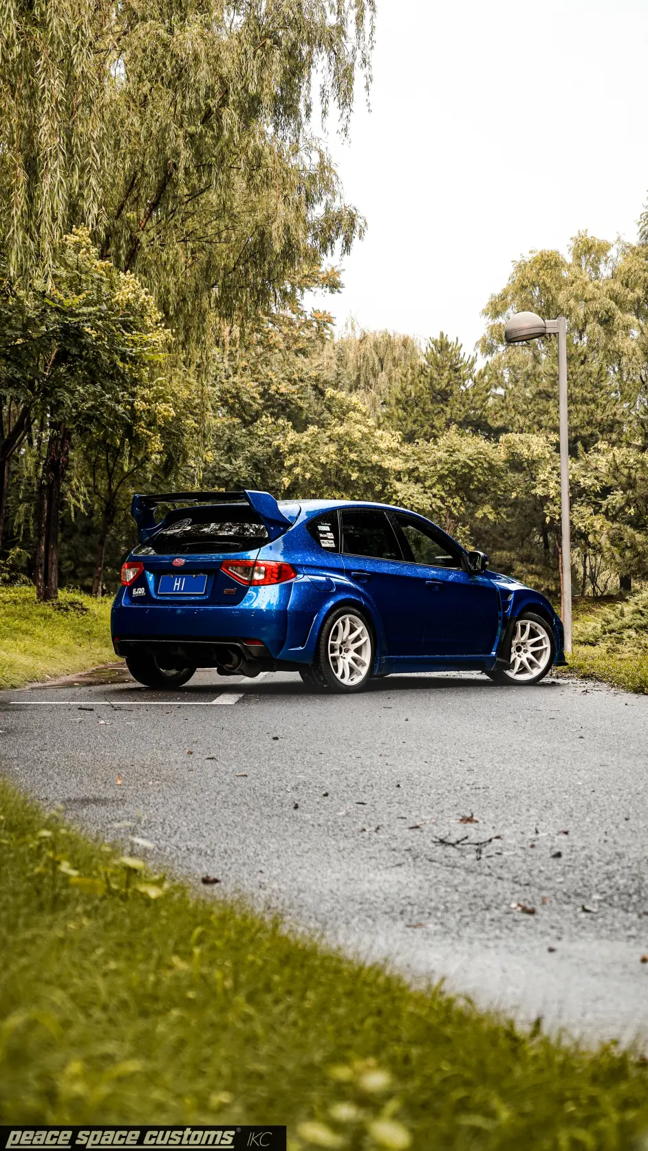 对于翼豹的爱 与年龄无关 哔哩哔哩