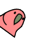 派对鹦鹉表情包gif 哔哩哔哩