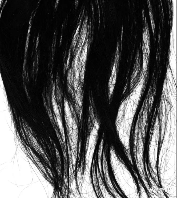 第2424期【笔刷】110款女士发丝头发abr笔触素材ps后期创意合成设计