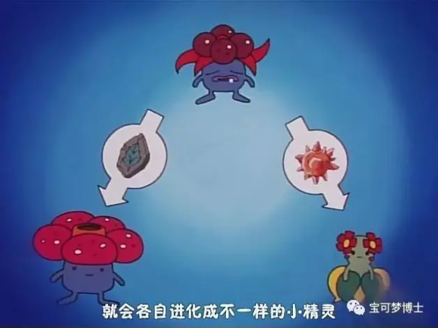 野生宝可梦在自然界中是如何自发进化的 哔哩哔哩