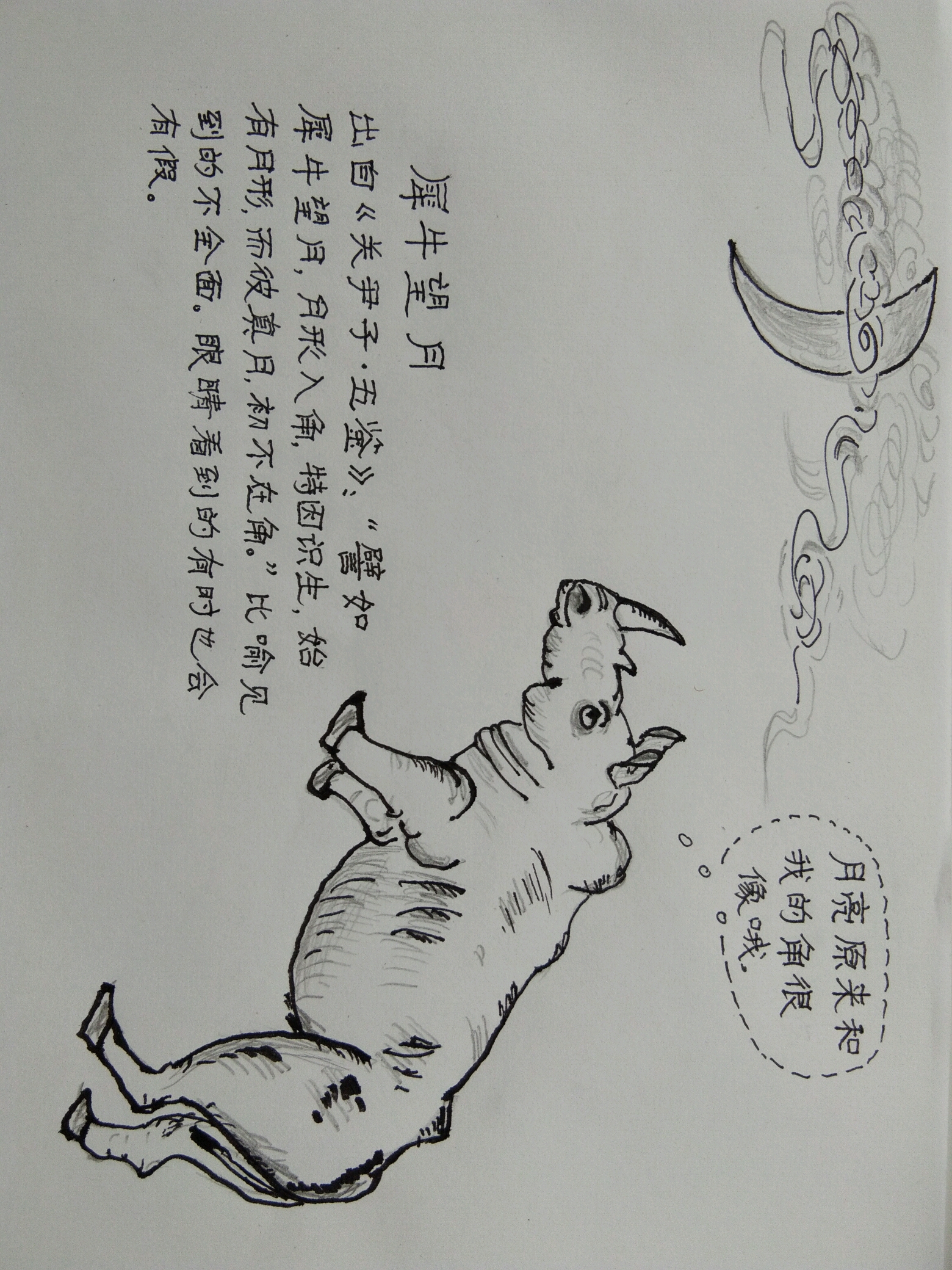 绘画犀牛望月图片图片