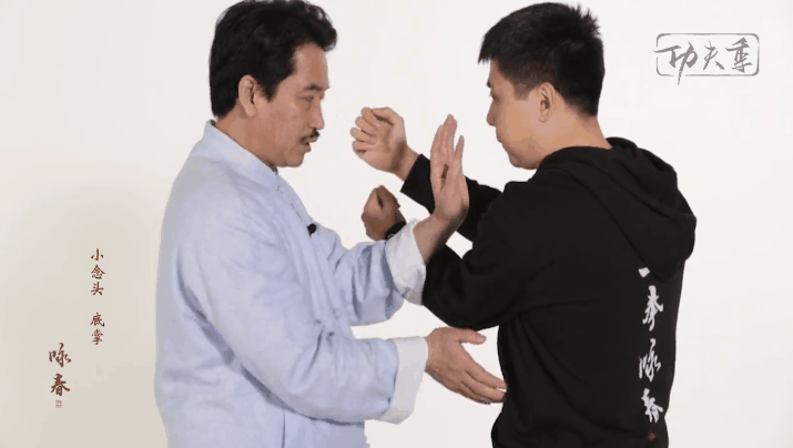 叶问咏春拳精髓《咏春小念头》膀手底掌精讲