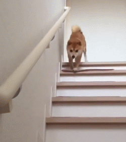 250_281gif 动态图 动图