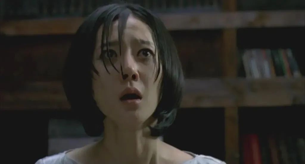 图片[15]-全片只有几个恐怖镜头，却成为了韩国第一恐怖片《蔷花，红莲》-68影视