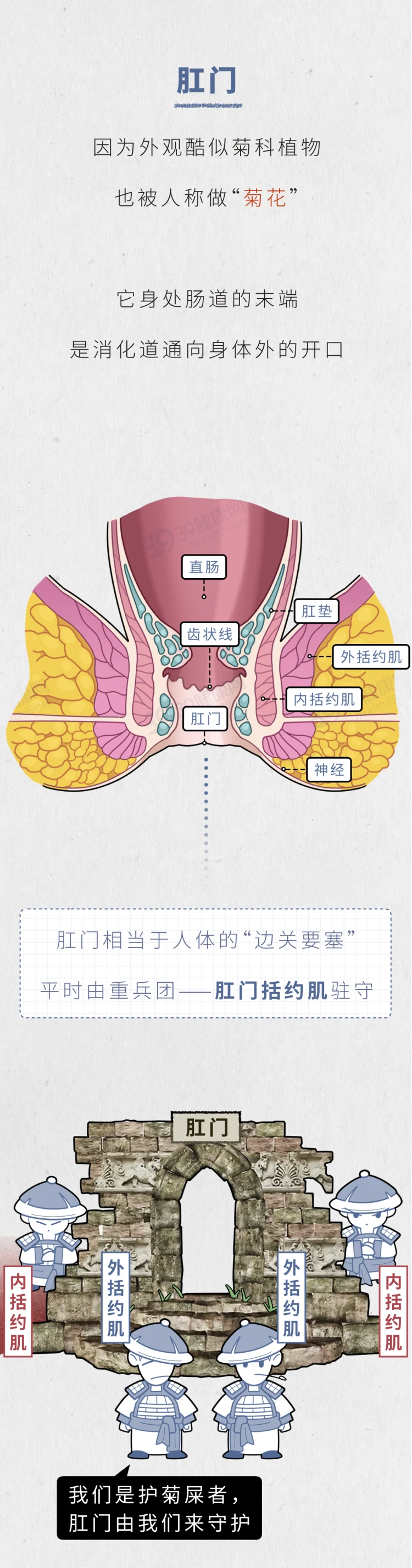 人类的肛门到底可以塞进多少东西？