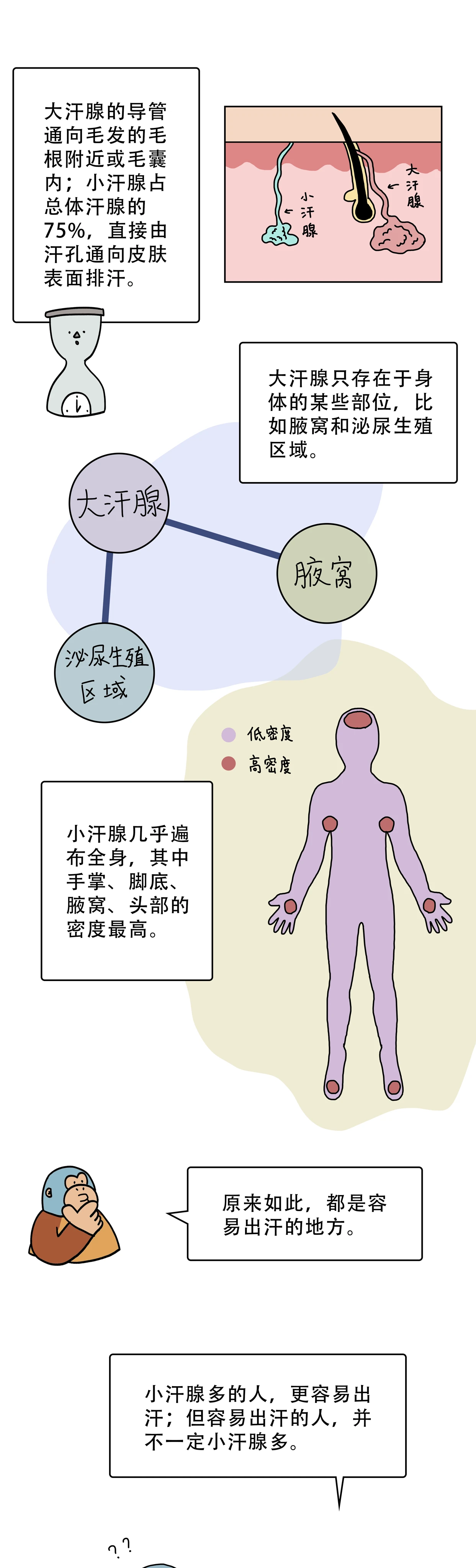 爱出汗身体虚是一种精神病3