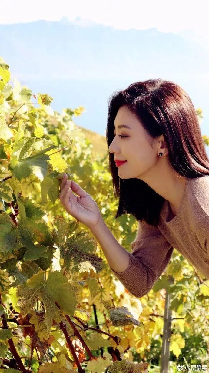 一顾第一届虎扑女神贾静雯