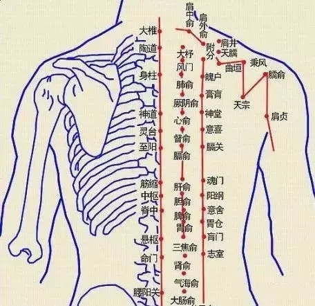 肩背肌筋膜炎痛点图片图片