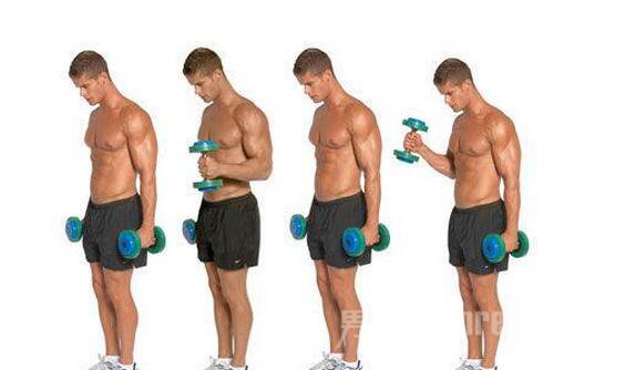 36个关于二头三头肌前臂练习动作要领(全文9千字 多图详解)