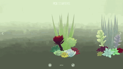 再挑一颗看起来不太鲜艳的花,挑一个朴素的花盆先养盆不容易死的多肉