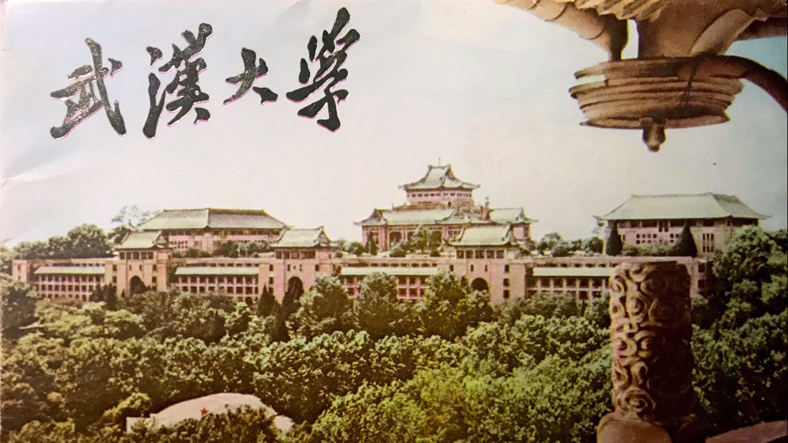 武汉大学樱花高清图片下载-正版图片500832020-摄图网