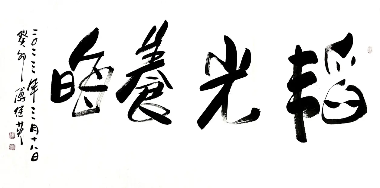 办公室字画傅继英秒懂成语书法作品《韬光养晦》