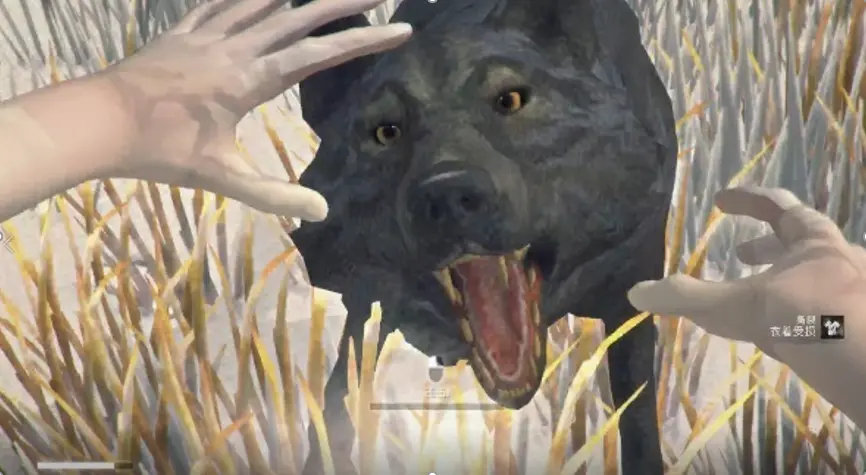 The Long Dark漫漫长夜 游戏节奏分析 哔哩哔哩