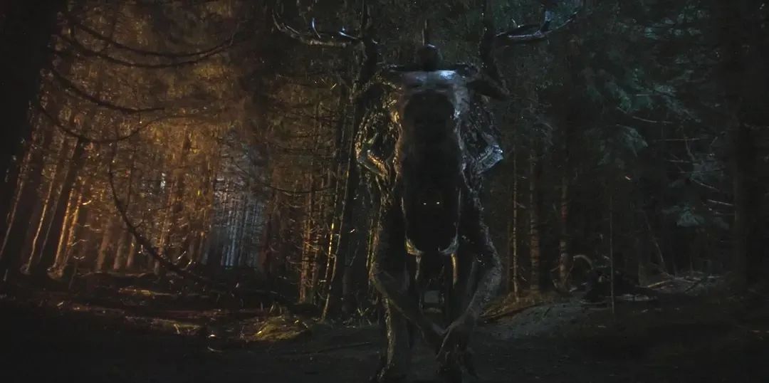 图片[14]-森林中的恐怖邪神，走不出的《黑森灵》-68影视