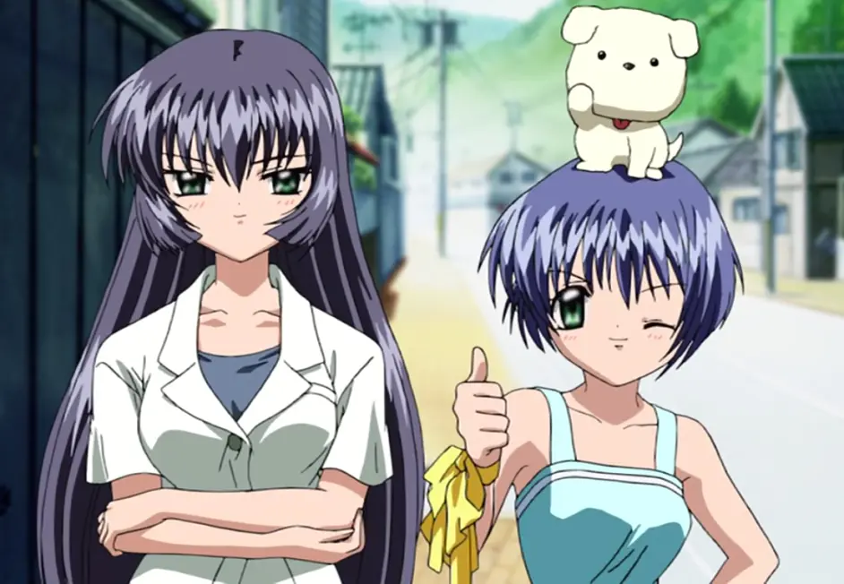 雾岛佳乃 Air令我无法忘记的那一抹芳香 哔哩哔哩