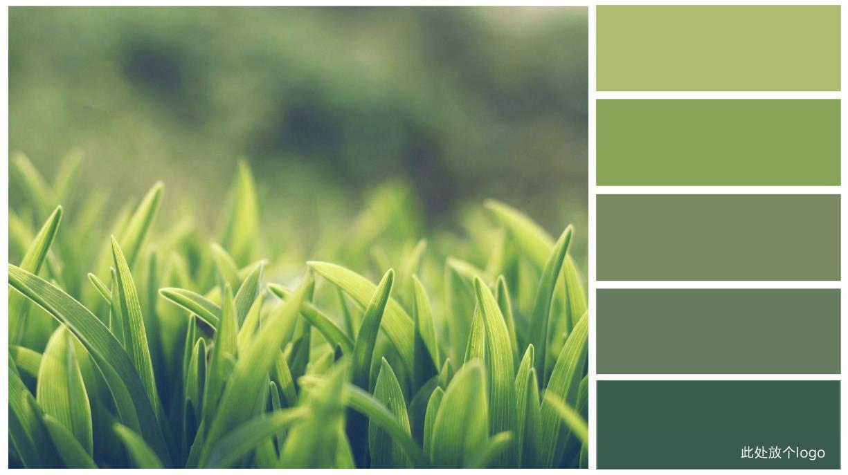 ps如何提取图片颜色卡 photoshop教程