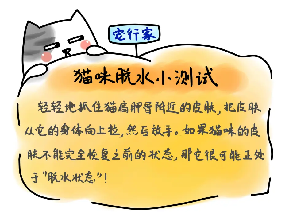 了解猫u201c生病状态u201d时的表现,猫生病时你才能及早发现,及时治疗- 哔哩哔哩