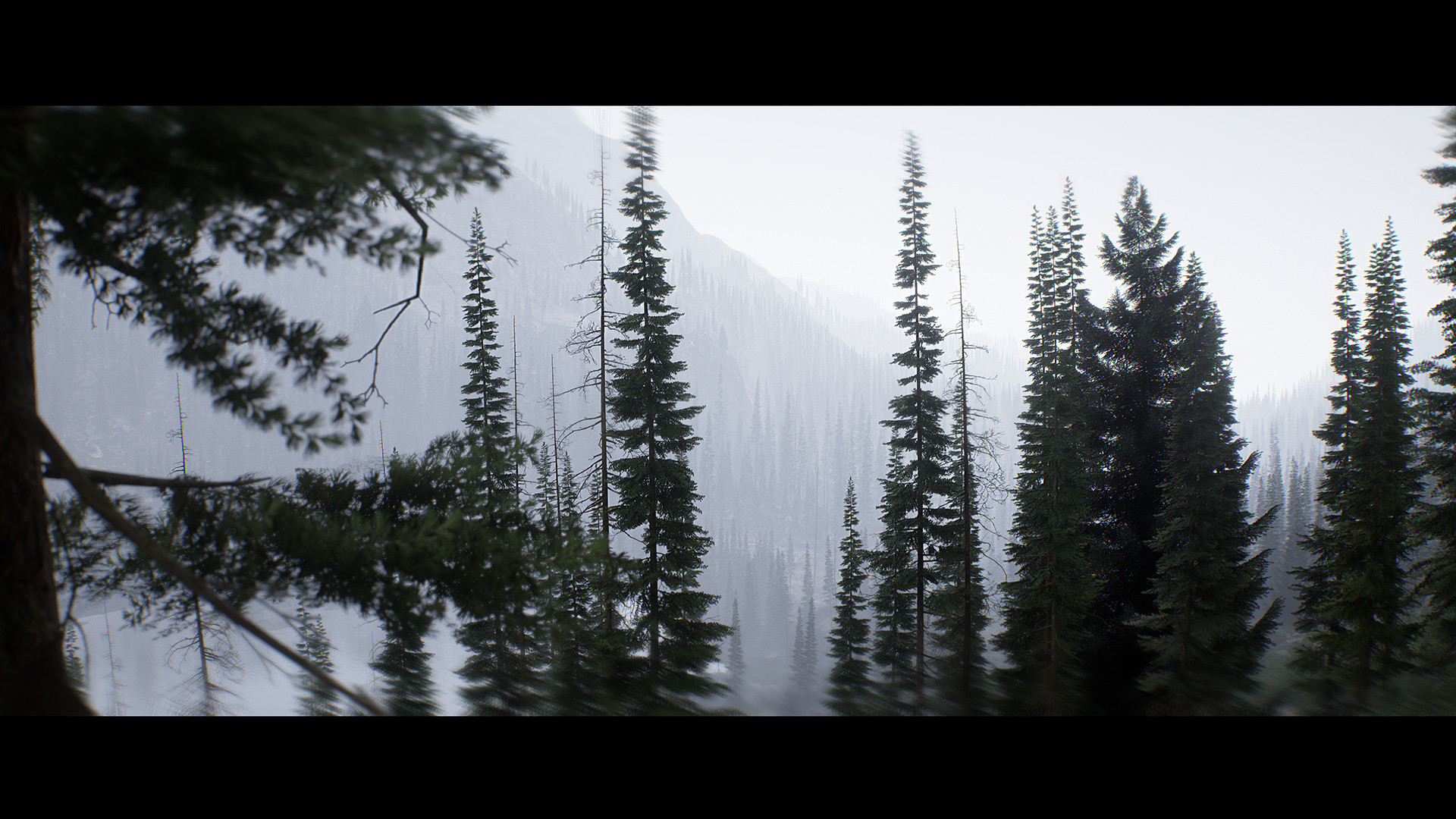 白嫖【第73期】科罗拉多自然景观Colorado Nature Landscape