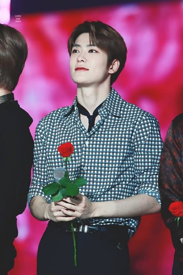 【七夕限定】郑先生，七夕快乐