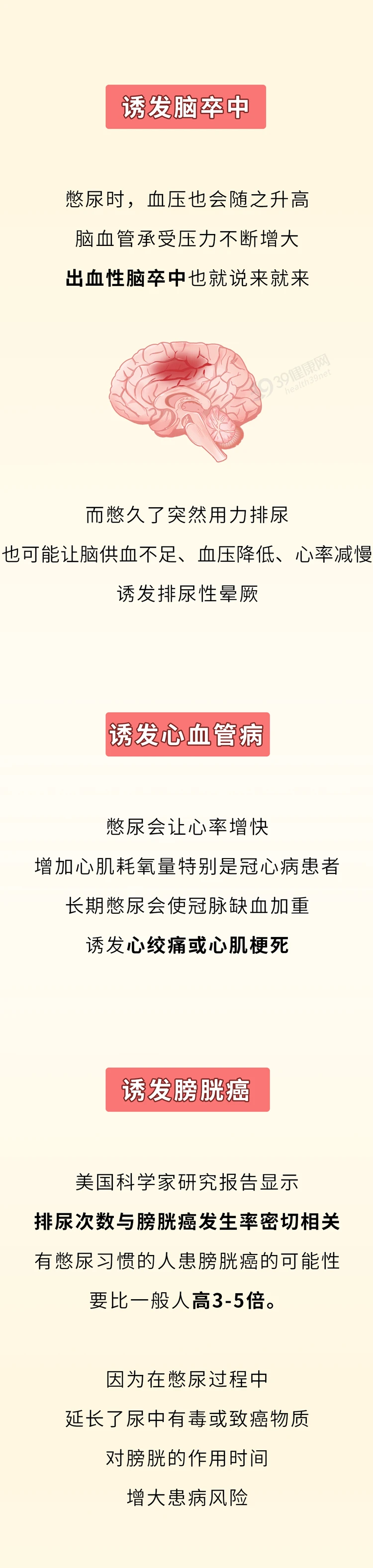 经常憋尿或会憋坏全身多个器官6