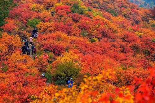 秋季最佳旅游景色经典景点