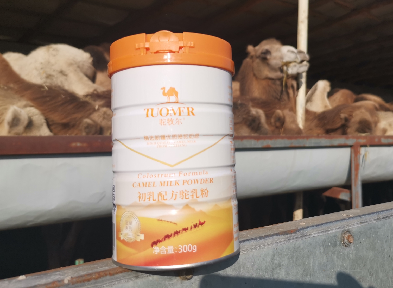 迪拜代购Camelicious纯骆驼奶粉驼乳粉500g 一大包 无糖儿童成人-Taobao